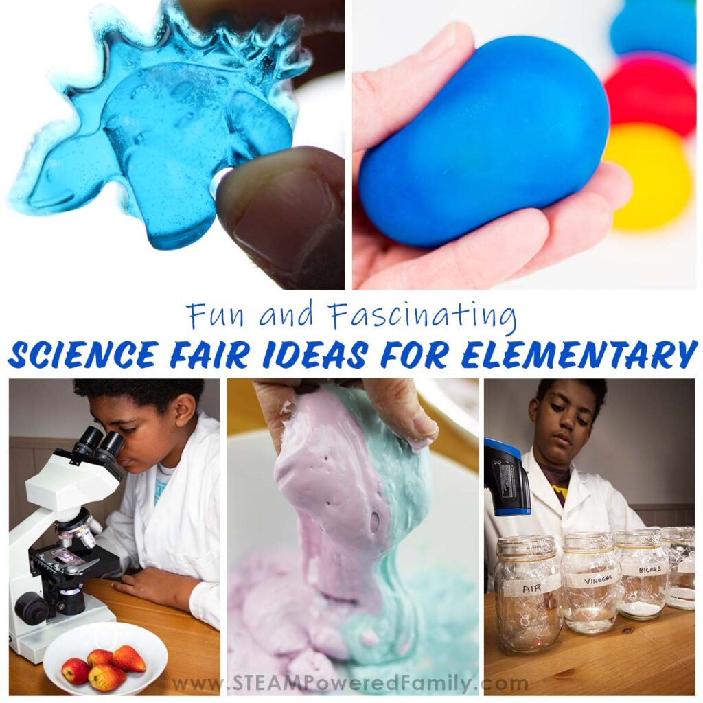 Science Fair ideas for elementary