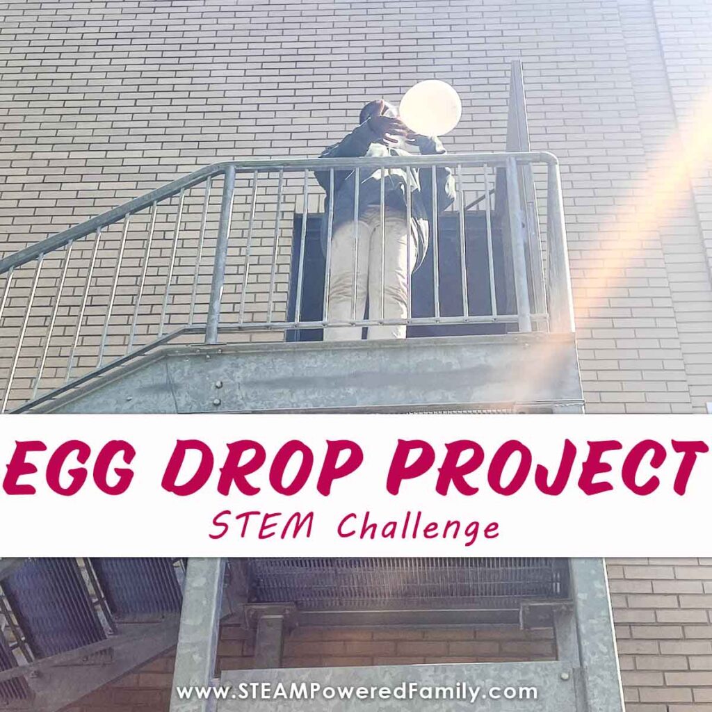 Student Dropping an Egg in an Egg Drop Project at School