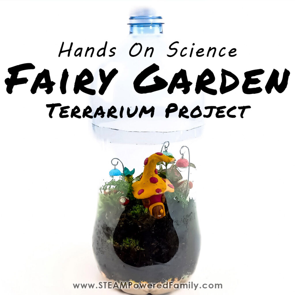 Fairy Garden Terrarium Project