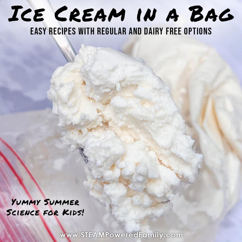Ice Cream in a Bag Two Recipes including Dairy Free