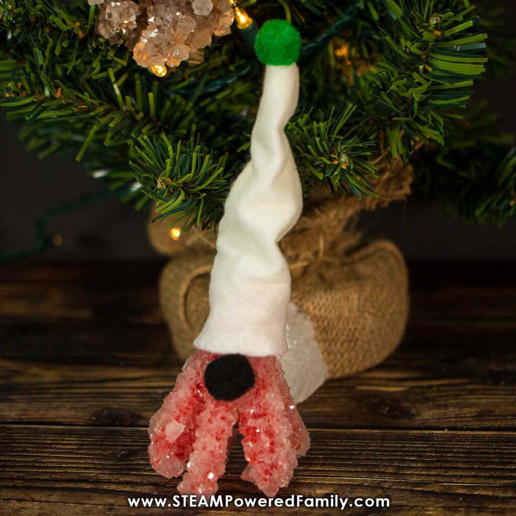 Pipe cleaner and borax crystals gnome ornament STEM Craft