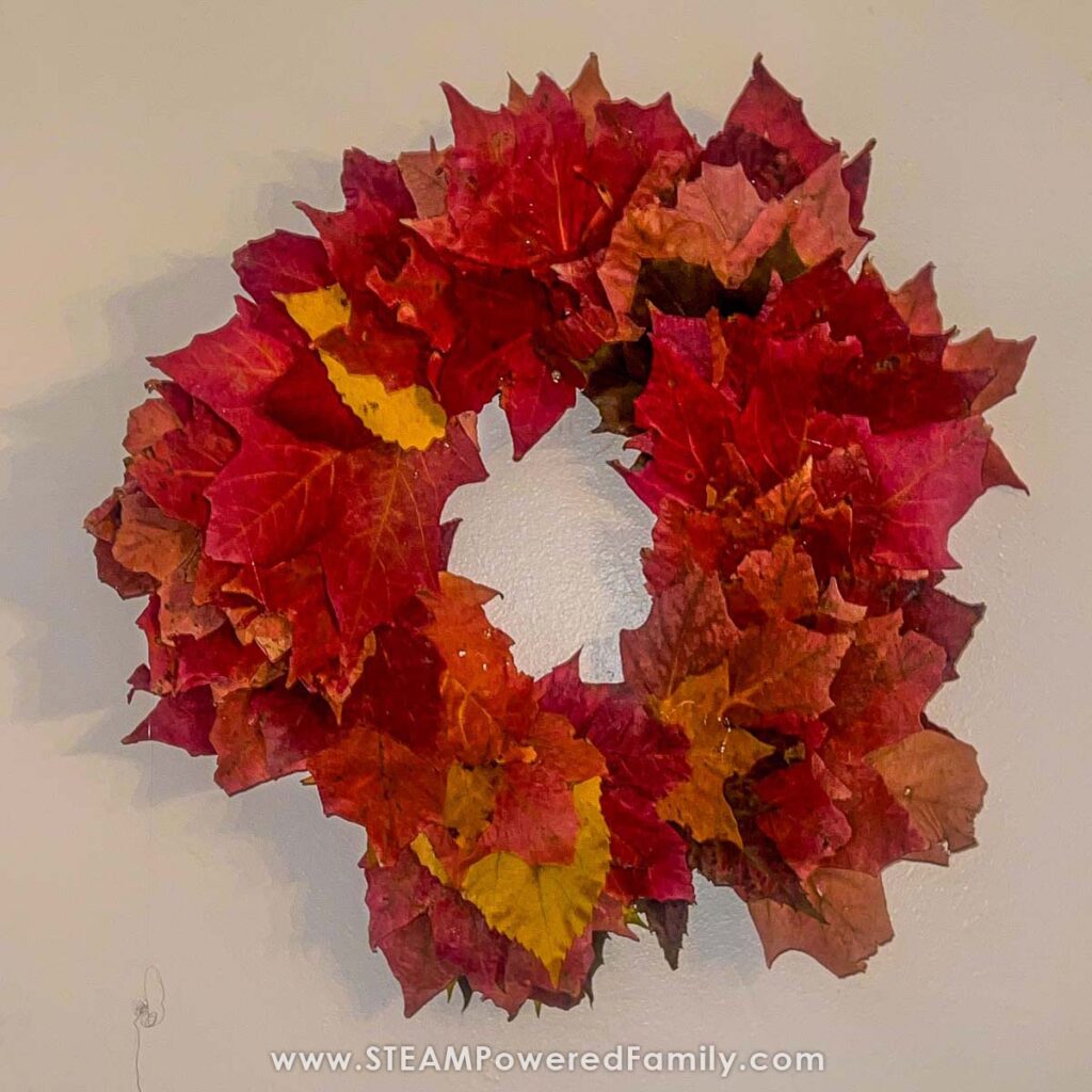 Beautiful leaf wreath project