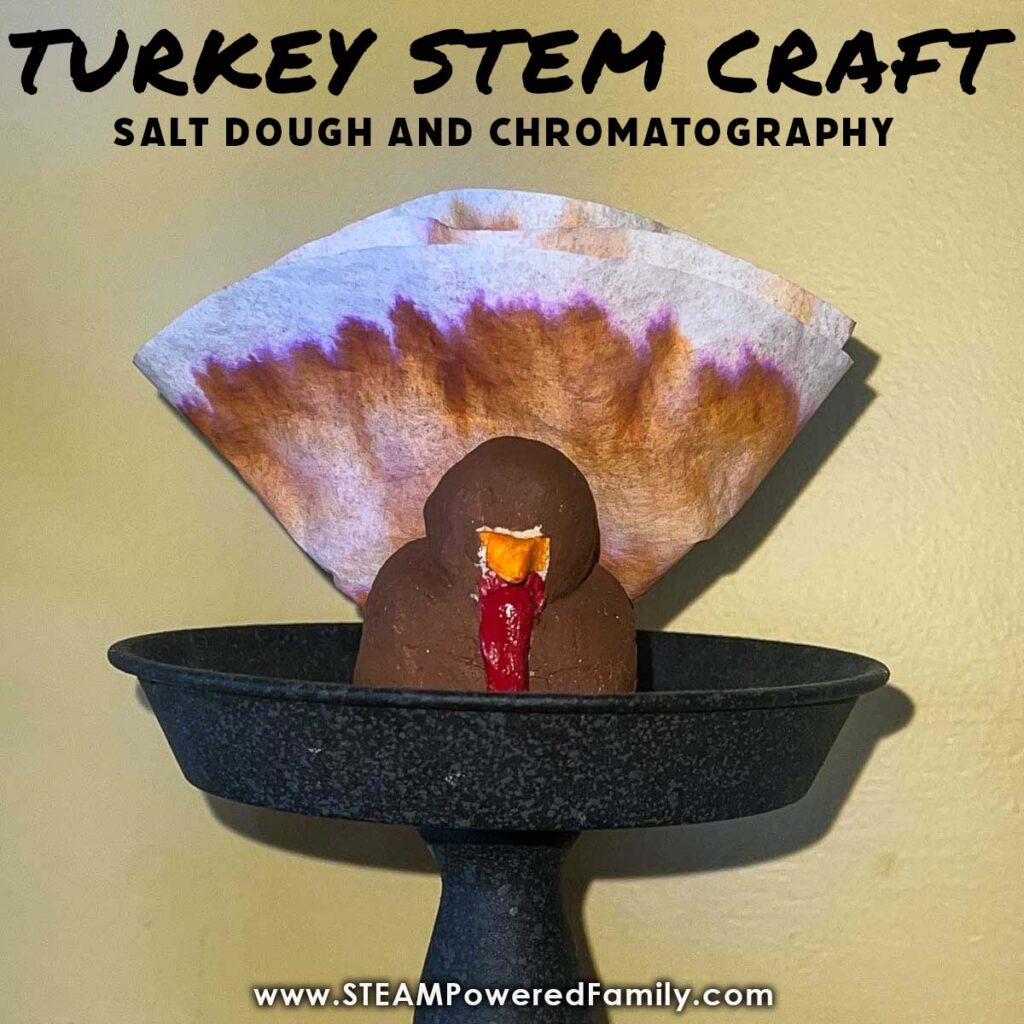 Salt Dough Thanksgiving Turkey Craft
