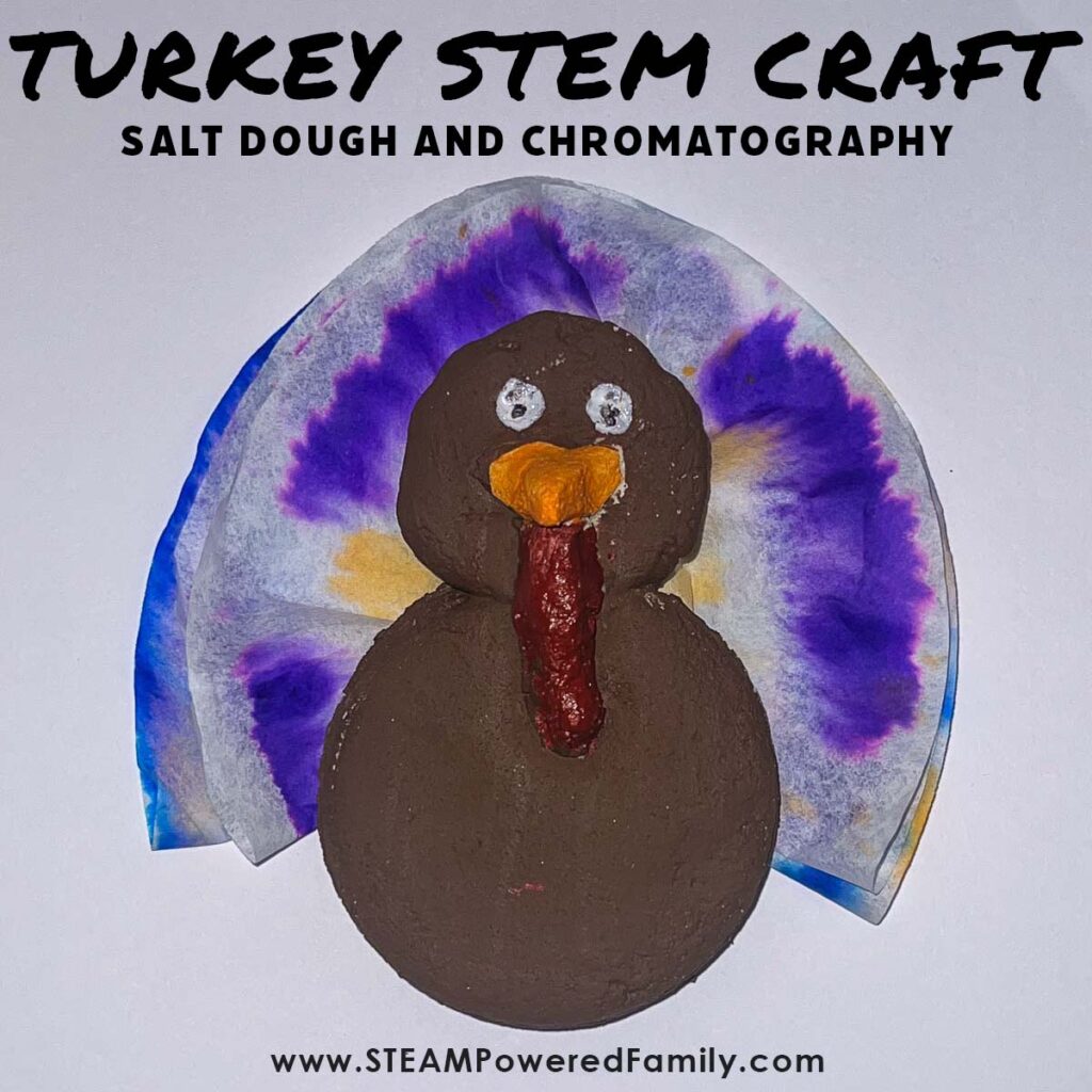 Finished Turkey STEM Craft