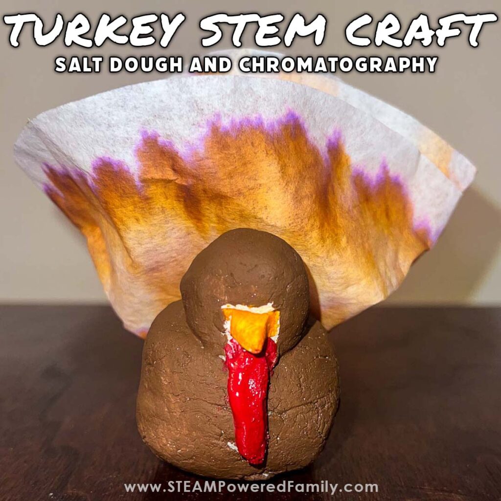 Turkey STEM Craft Project for Thanksgiving