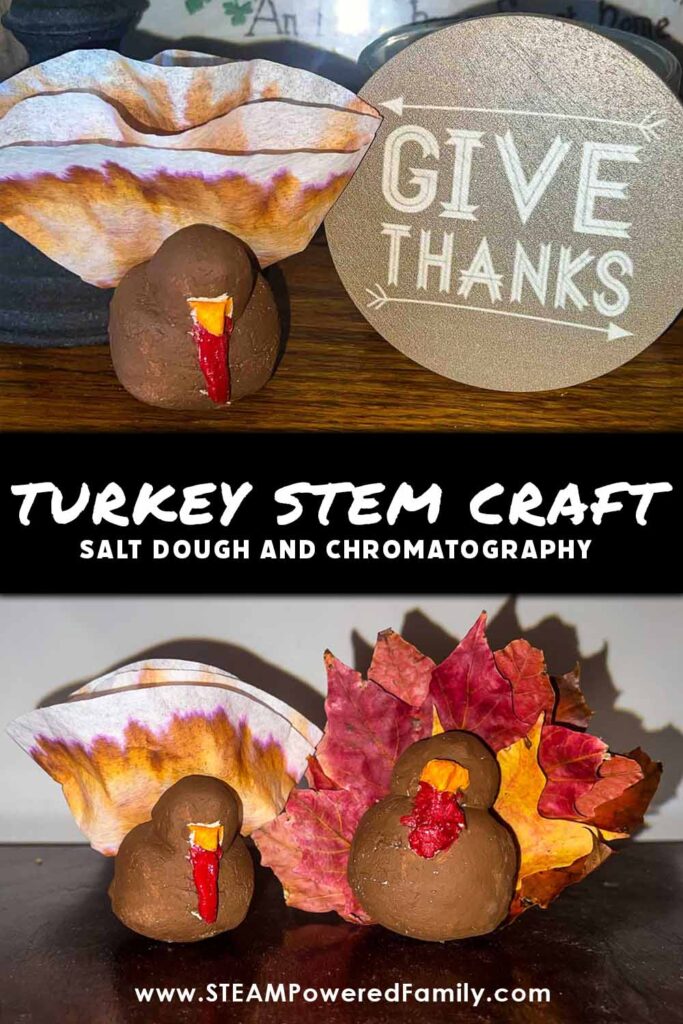 Thanksgiving Turkey Craft with Salt Dough and Chromatography