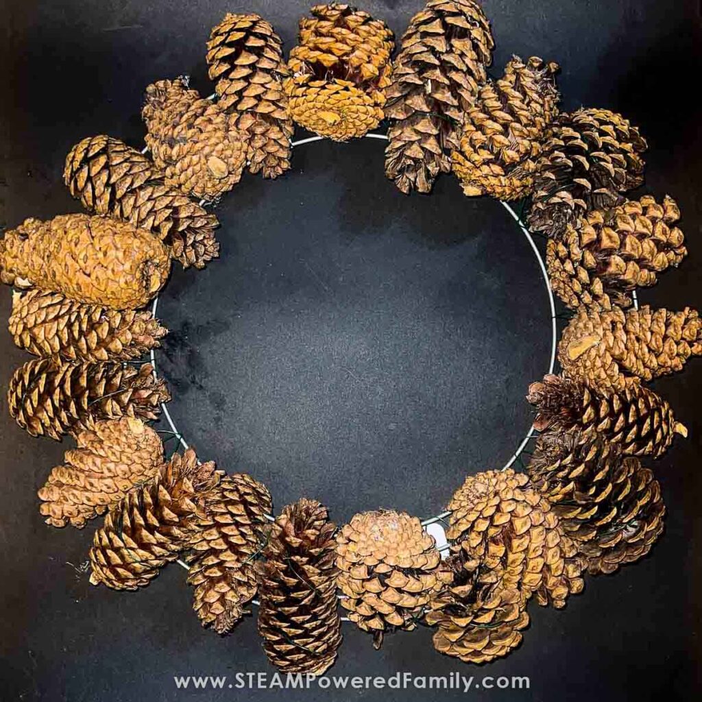 Pine cone wreath making project