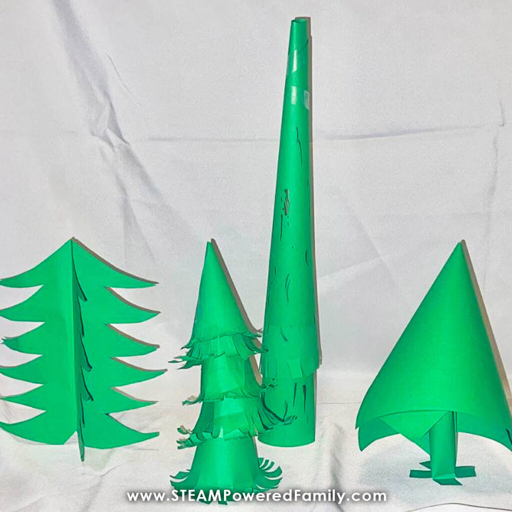 Build the tallest Christmas Tree Challenge