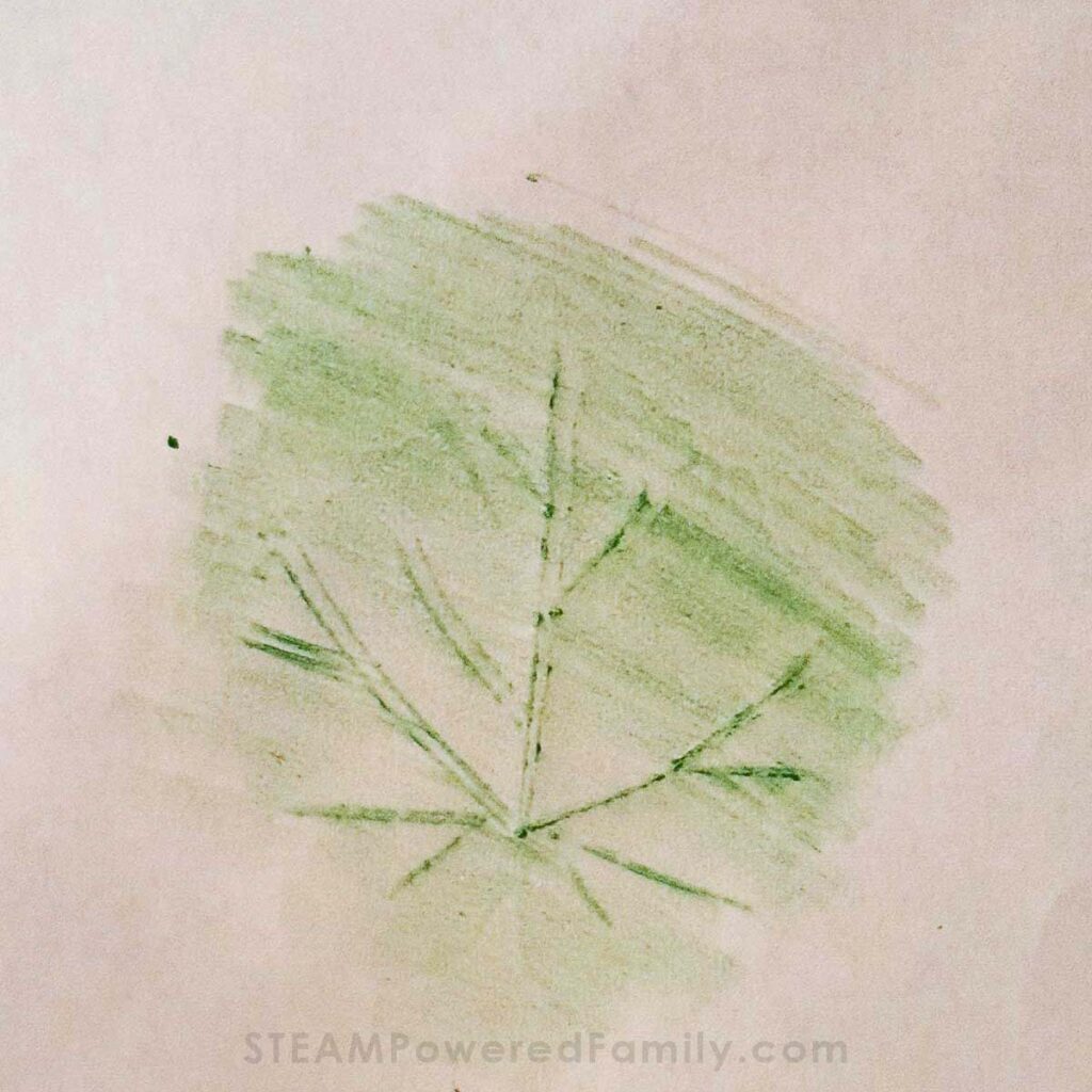 Crayon Rubbings Craft for Summer Camp