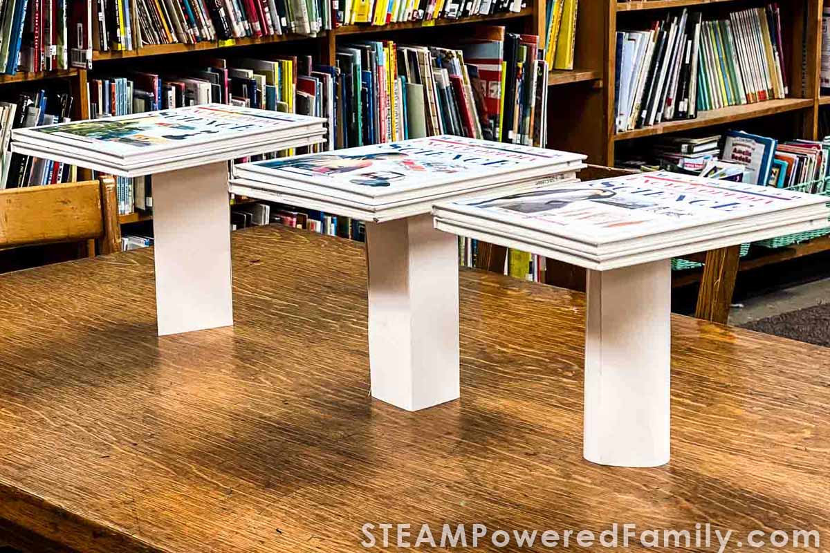 Paper Column Activity Engineering Week Summer Camp Ideas