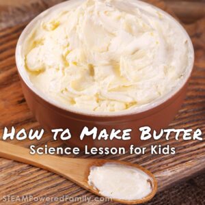 How to make butter in a jar science lesson for kids