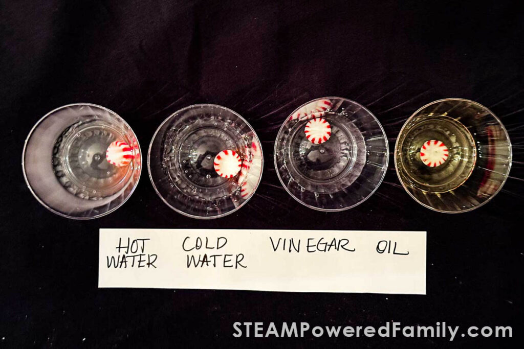 Peppermint dissolving in hot water with visible red dye diffusion. Step 1 adding the candies