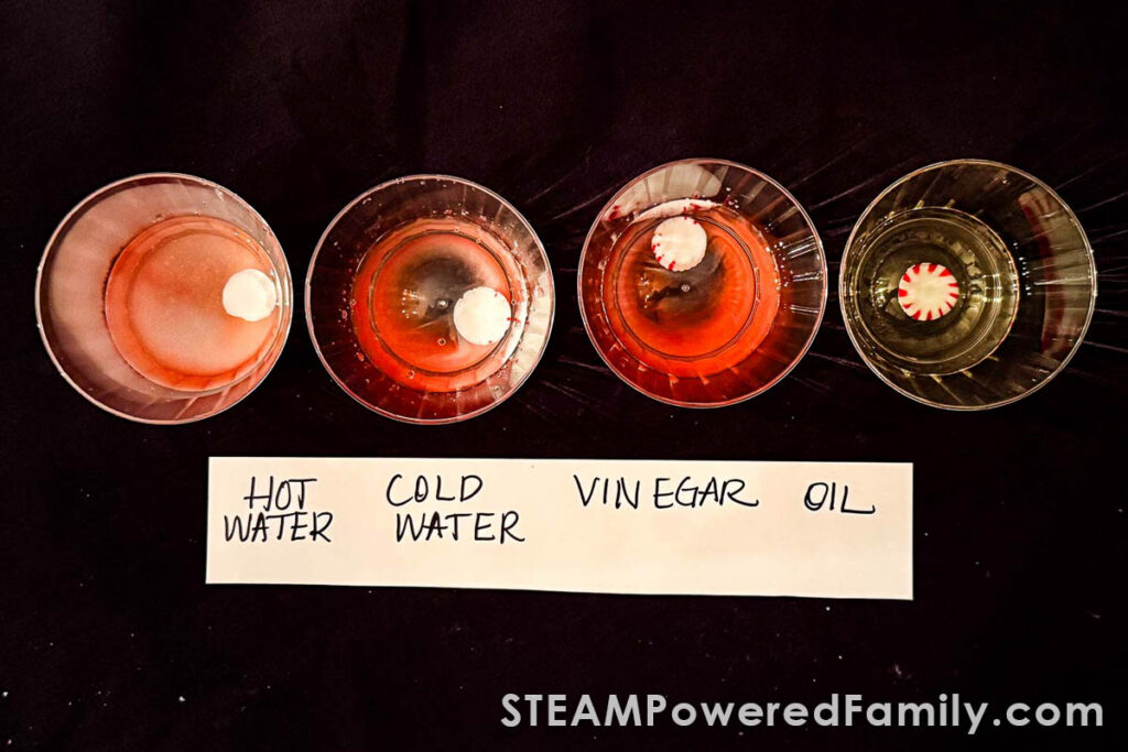 Peppermint dissolving in hot water with visible red dye diffusion.