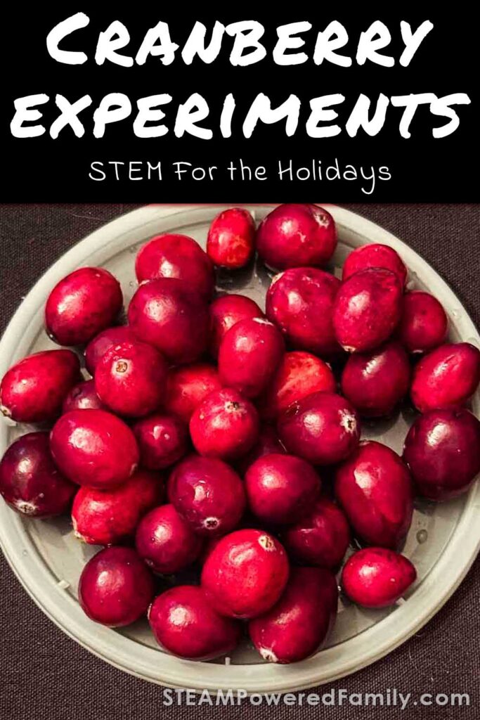 Cranberry STEM Experiments