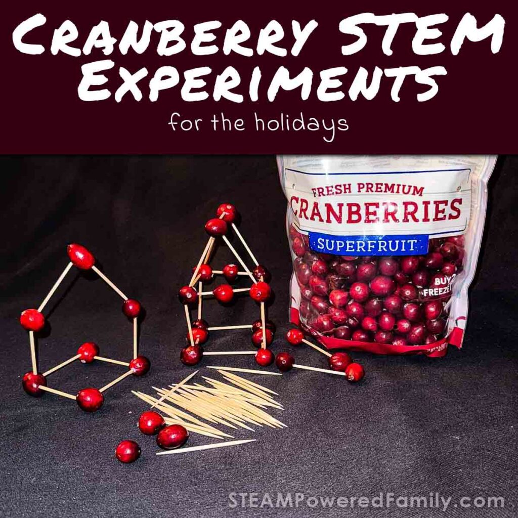 Easy Cranberry STEM Experiments for the holidays