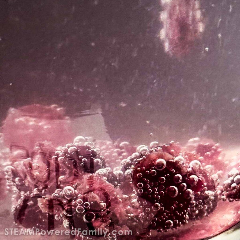 Close up of dancing cranberries