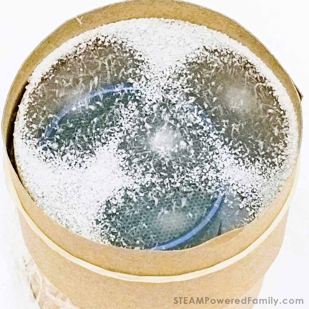 Chladni Plate in Action