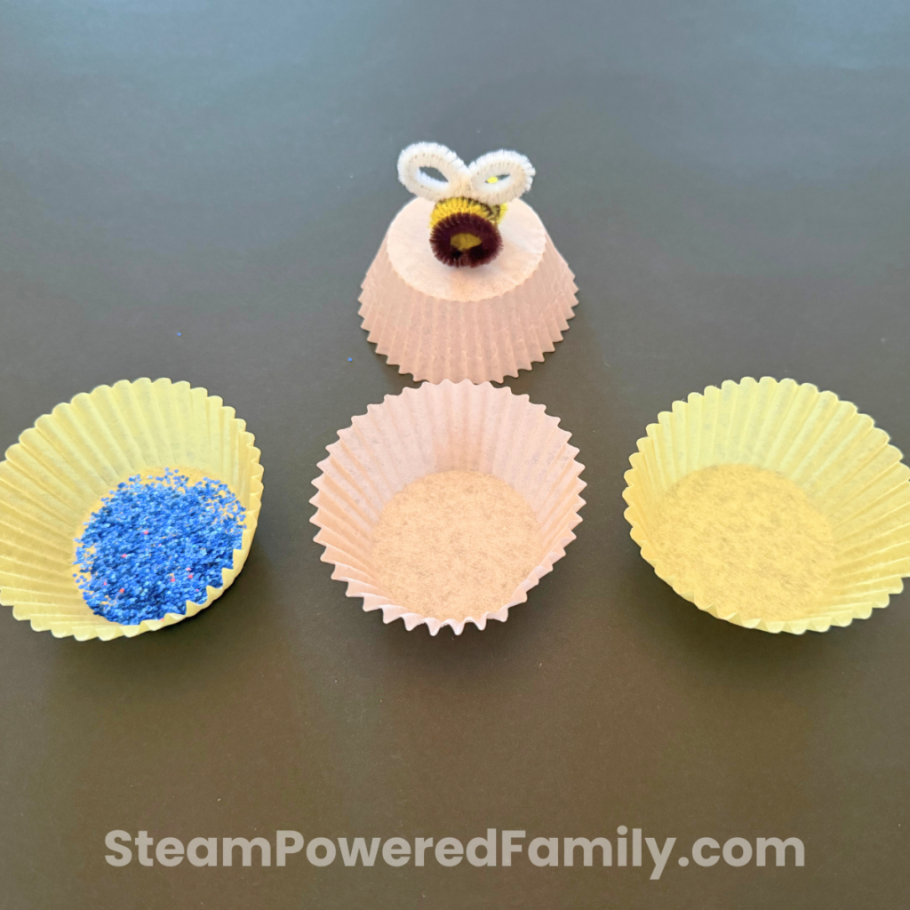 pipe cleaner pollination power activity