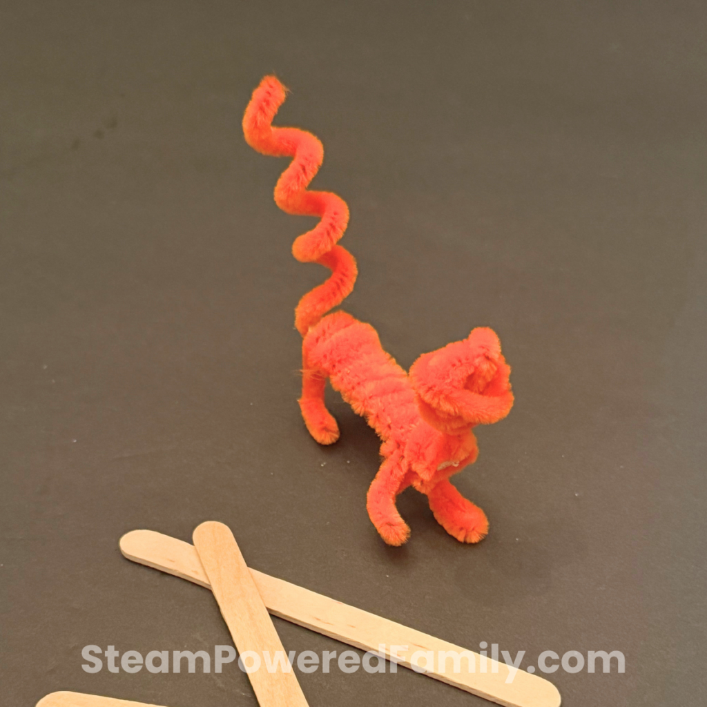 Pipe cleaner vertebrate vs. invertebrate models