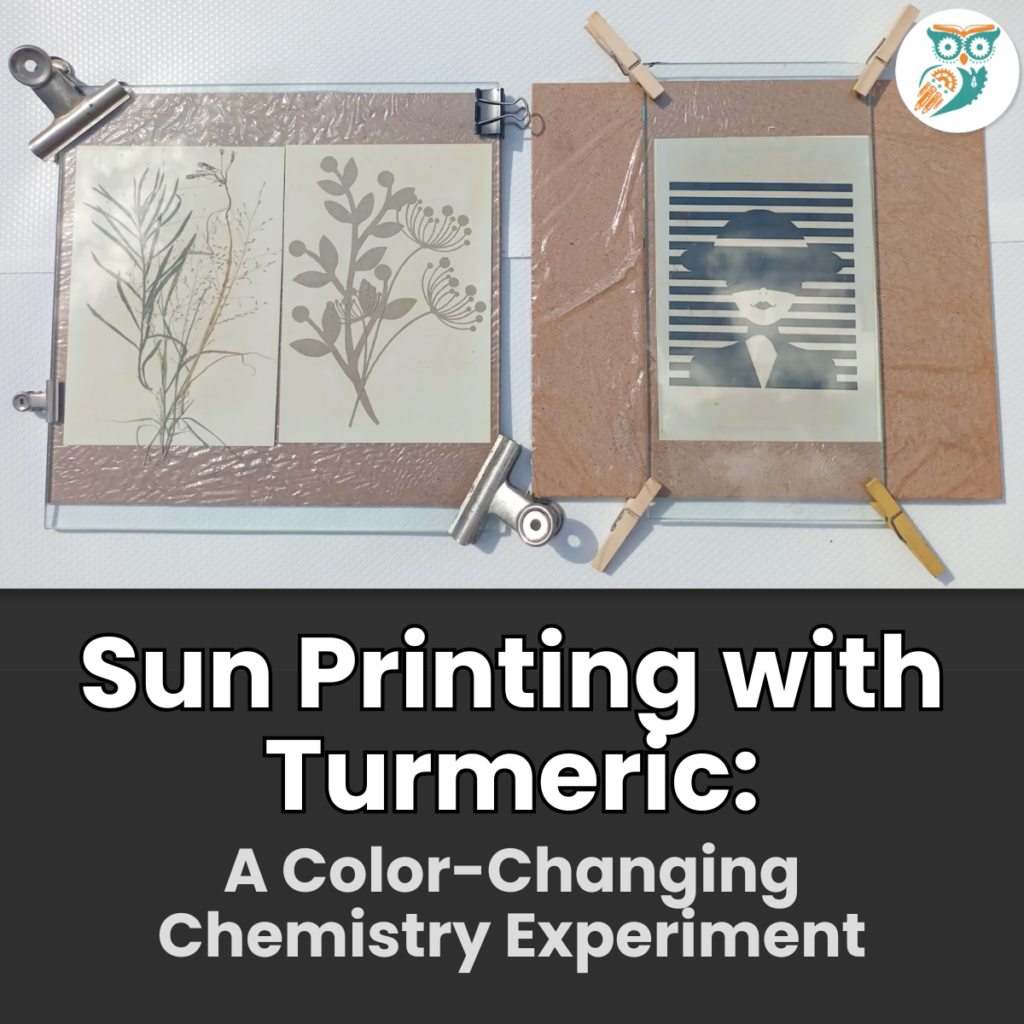 Two sun printing with turmeric setups under glass, one with pressed leaves and stencils, the other with a striped portrait cut-out, held together with clips and clothes pegs.