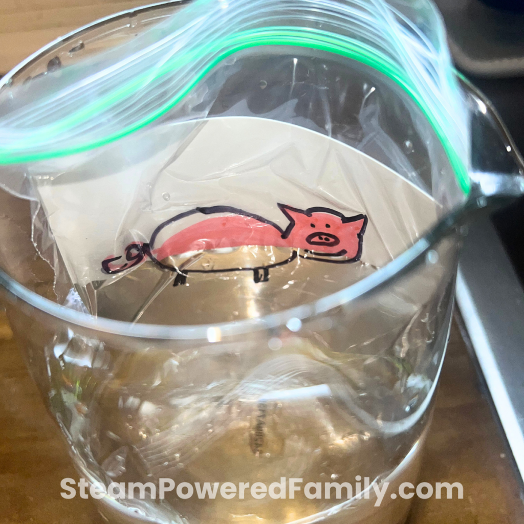 Colorful drawing in a zip top bag being lowered into a vase of water for a light refraction no prep STEM activity with water.