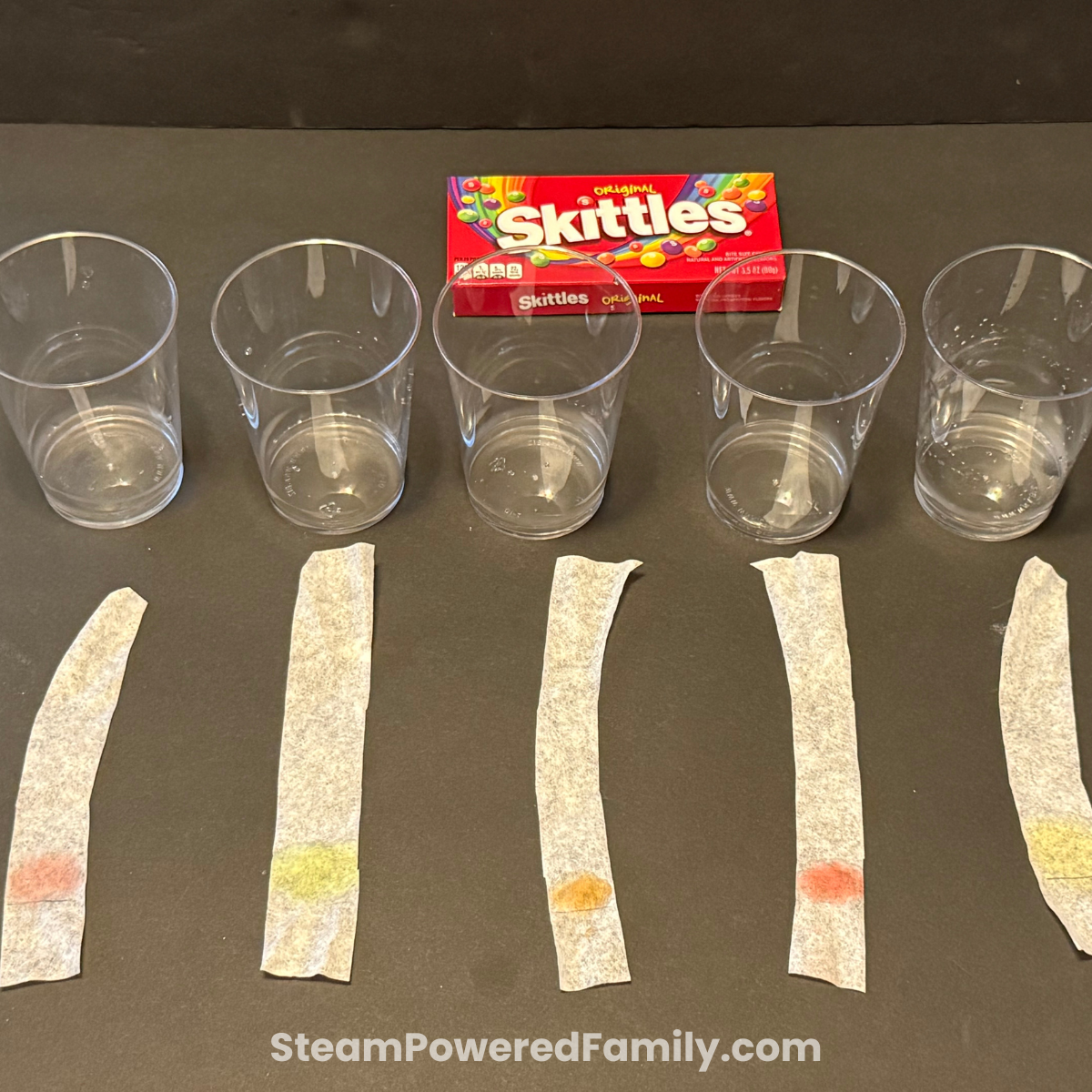 Skittles Chromatography Lab
